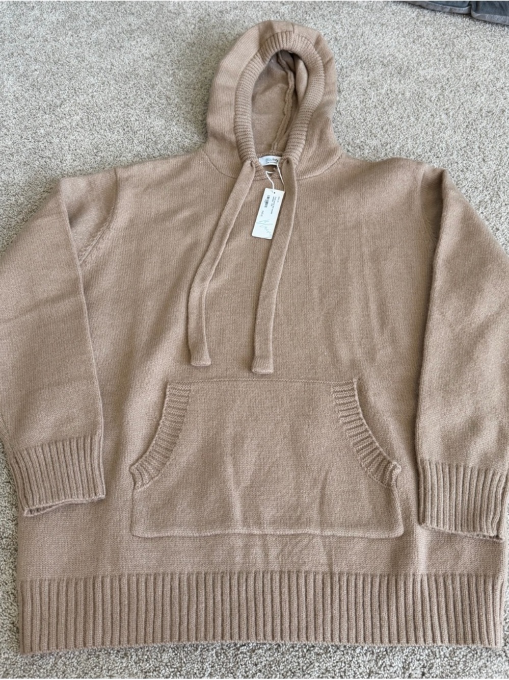 Bluivy Neutral Knit Hoodie in Beige